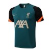 Liverpool Tréninkový Dresy 2022-23 Zelená